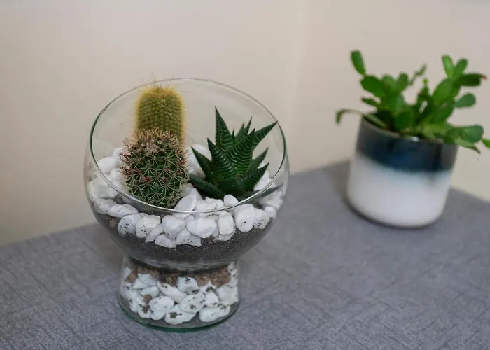 Leonarda Apartament Trapani